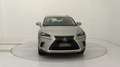 Lexus NX 300h 300h 2.5 Premium 4wd cvt Grau - thumbnail 8