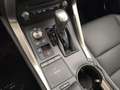 Lexus NX 300h 300h 2.5 Premium 4wd cvt Grau - thumbnail 18