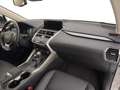 Lexus NX 300h 300h 2.5 Premium 4wd cvt Grau - thumbnail 30