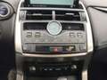 Lexus NX 300h 300h 2.5 Premium 4wd cvt Grau - thumbnail 17