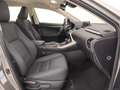 Lexus NX 300h 300h 2.5 Premium 4wd cvt Grau - thumbnail 31