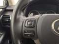 Lexus NX 300h 300h 2.5 Premium 4wd cvt Grau - thumbnail 14