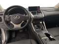 Lexus NX 300h 300h 2.5 Premium 4wd cvt Grau - thumbnail 12