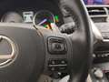 Lexus NX 300h 300h 2.5 Premium 4wd cvt Grau - thumbnail 15