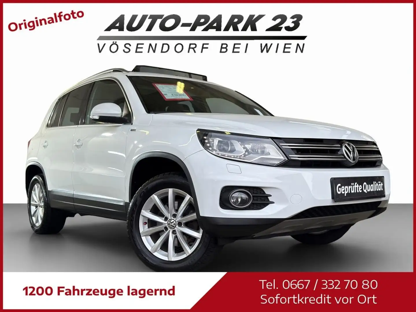Volkswagen Tiguan 2.0TDI**150PS*Lounge Style 4M*LED-XENON*NAVI*MO... Weiß - 1