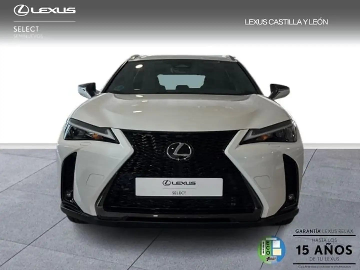 Lexus UX 300h F Sport 2WD Weiß - 2
