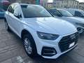 Audi Q5 40 2.0 tdi mhev 12V quattro s-tronic Blanco - thumbnail 5