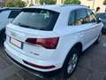 Audi Q5 40 2.0 tdi mhev 12V quattro s-tronic Wit - thumbnail 4