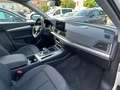 Audi Q5 40 2.0 tdi mhev 12V quattro s-tronic Wit - thumbnail 12