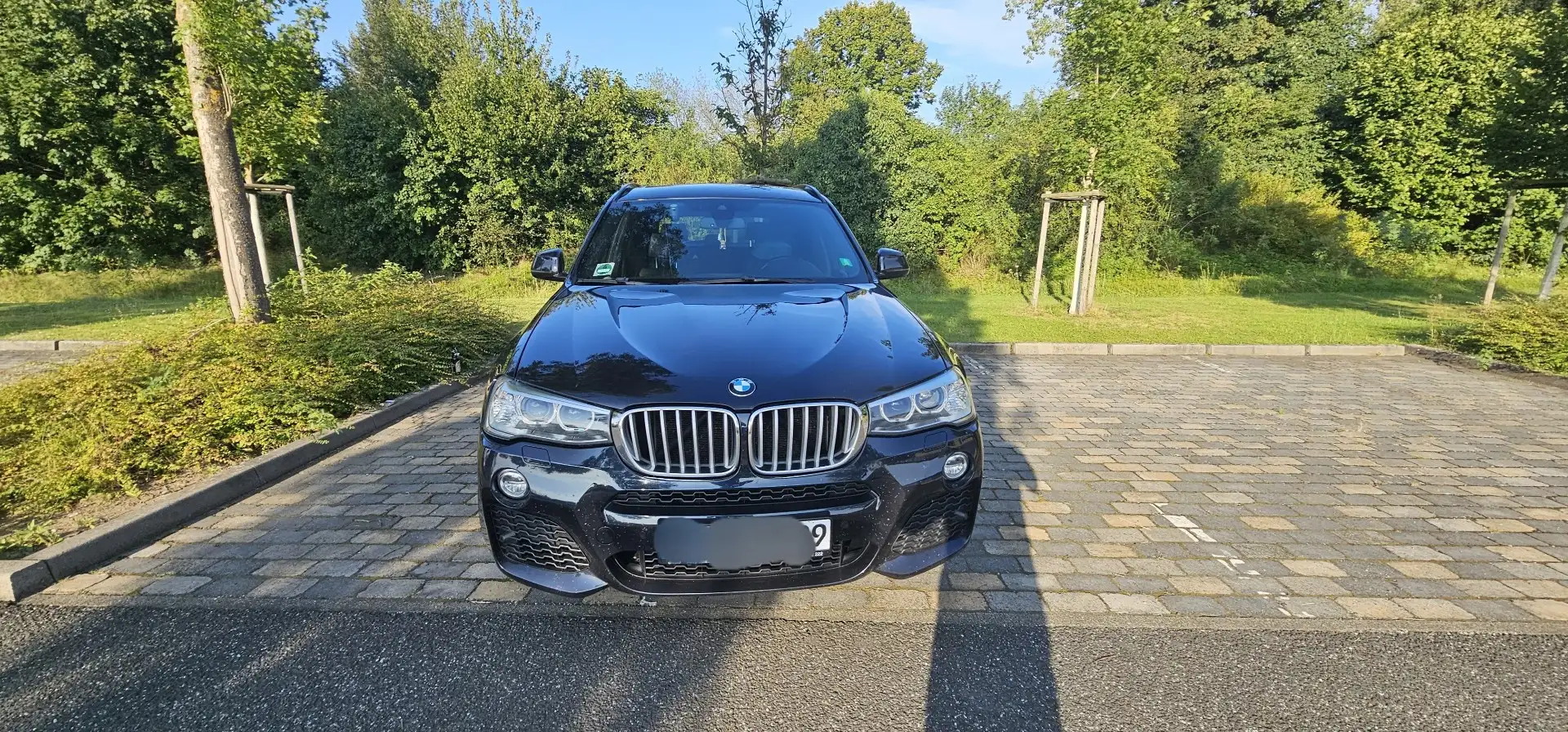 BMW X3 xDrive35d Aut. - 1