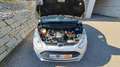 Ford B-Max B-MAX Trend 1,0 EcoBoost Start/Stop Silber - thumbnail 7