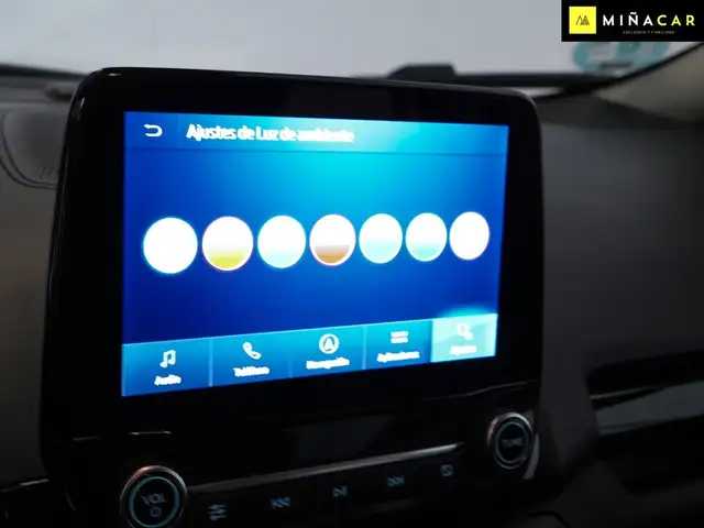 Ford Ecosport view 15