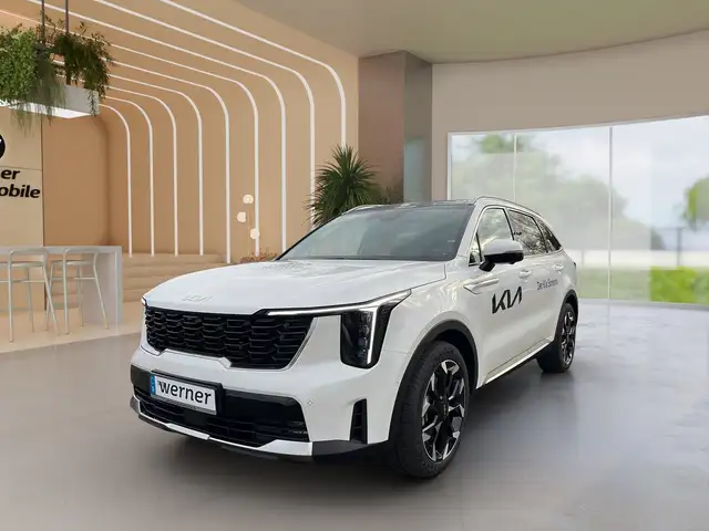 Kia Sorento 2.2 Platinum AWD Premium Glasdach AHK