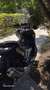 Peugeot XP400 gt Szary - thumbnail 3