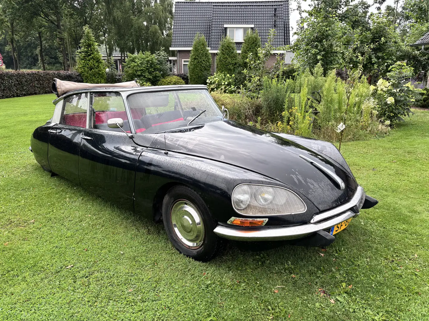 Citroen DS aeat semi cabriolet - 2