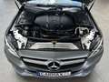 Mercedes-Benz 220 C C220d Aut Navi Leder Airscarf Akustik Navi LED Grau - thumbnail 35
