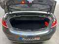 Mercedes-Benz 220 C C220d Aut Navi Leder Airscarf Akustik Navi LED Grau - thumbnail 34