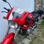 Ducati Monster S2R Rouge - thumbnail 6