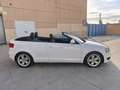 Audi A3 Cabrio 1.9TDI Ambition Blanc - thumbnail 17