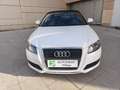 Audi A3 Cabrio 1.9TDI Ambition Blanc - thumbnail 14