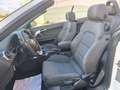 Audi A3 Cabrio 1.9TDI Ambition Blanc - thumbnail 10