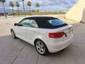 Audi A3 Cabrio 1.9TDI Ambition Blanc - thumbnail 9