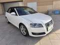 Audi A3 Cabrio 1.9TDI Ambition Blanc - thumbnail 21