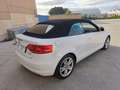 Audi A3 Cabrio 1.9TDI Ambition Blanc - thumbnail 24