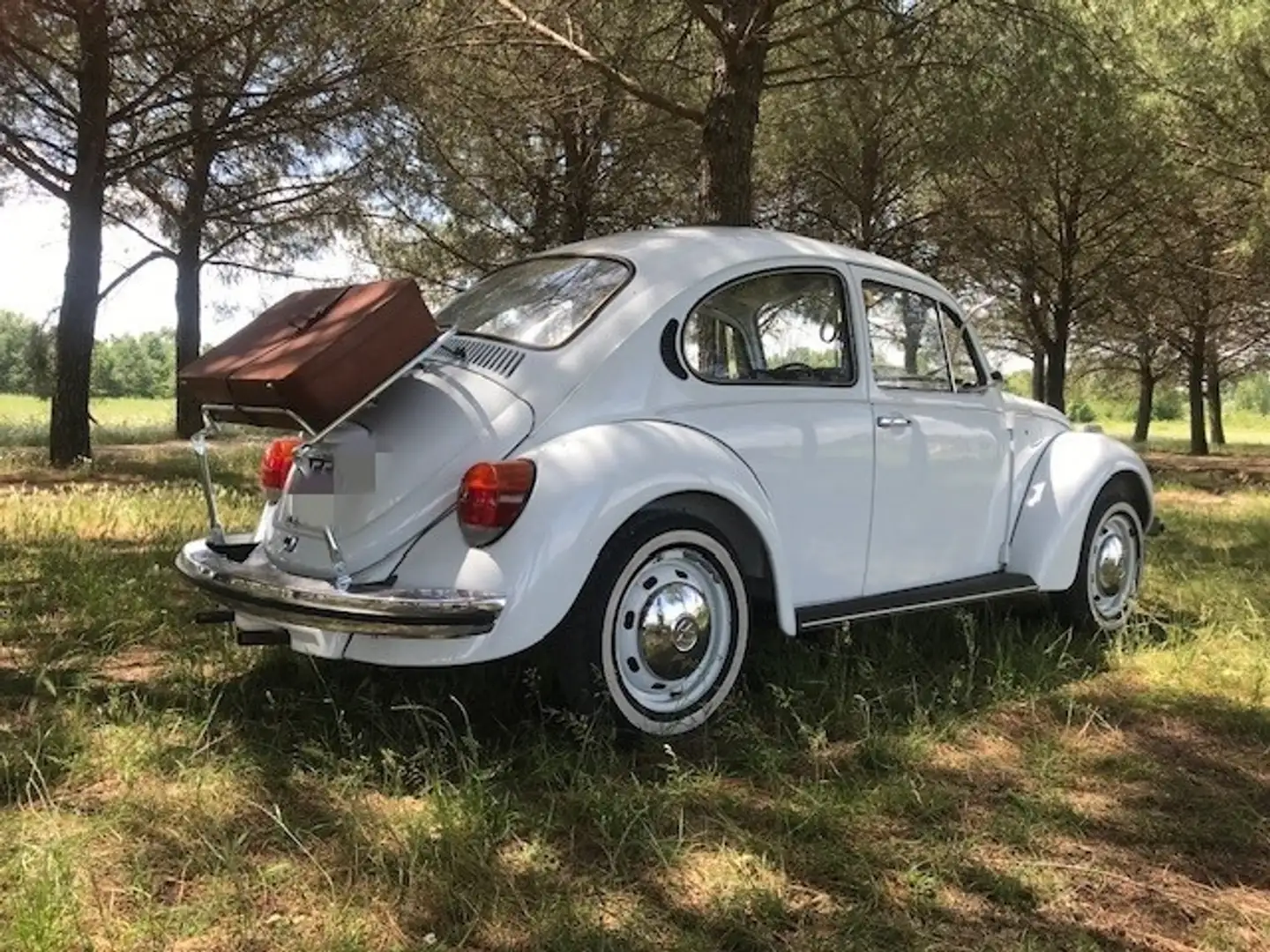 Volkswagen Maggiolino 1.2 L (messico) - 2