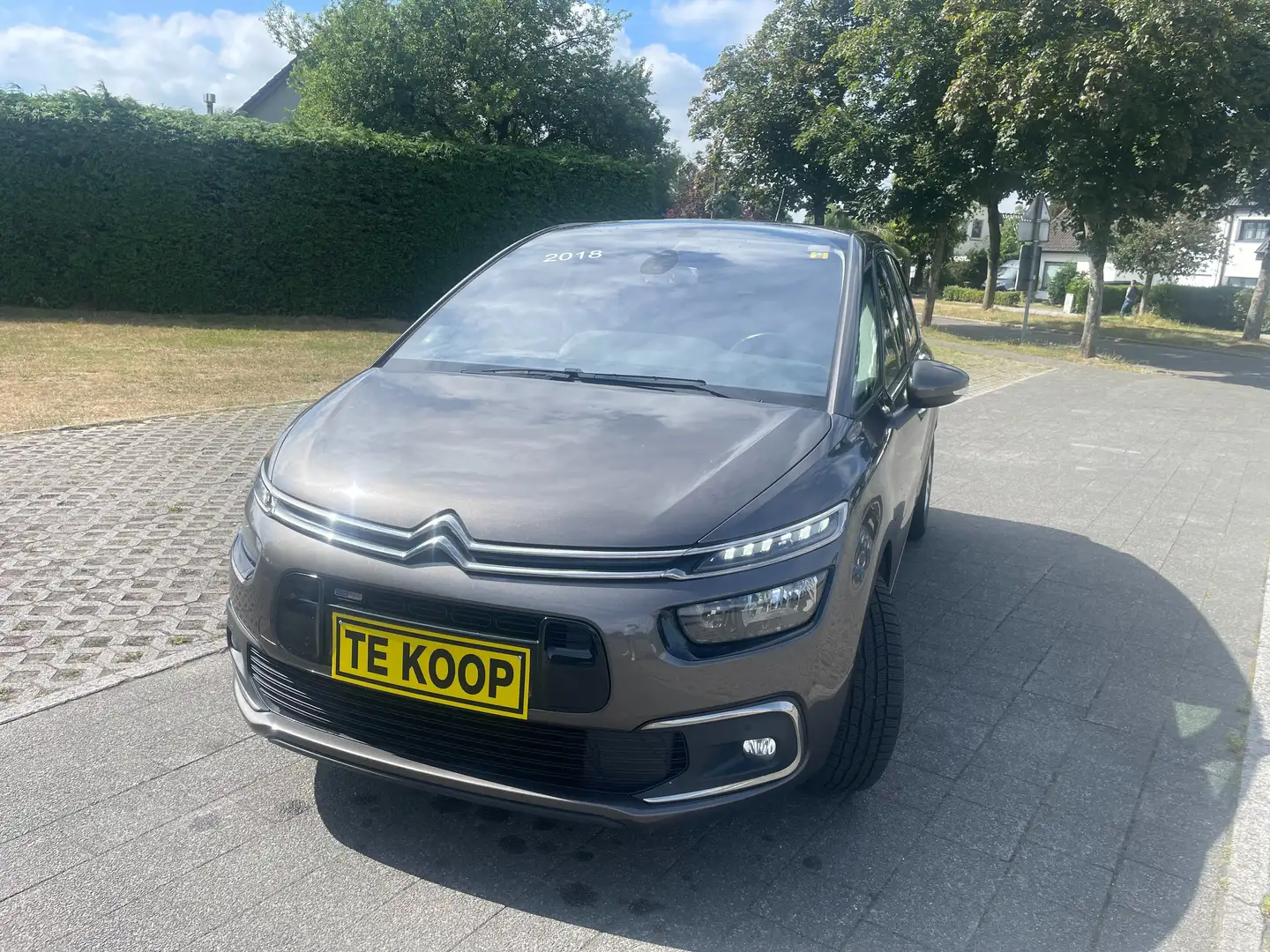Citroen C4 Picasso C4 Picasso PureTech 130 Stop Brons - 1