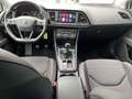 SEAT Leon FR 1.5 TSI LED SHZ KLIMA KAMERA KURVENLICHT BLUETO Weiß - thumbnail 10