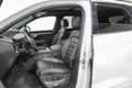 Volkswagen Touareg 3.0TDI V6 Elegance Tiptronic 4M 170kW Blanco - thumbnail 14