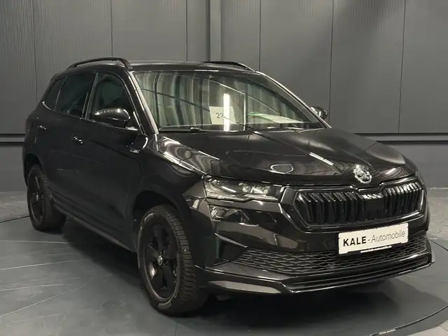 Skoda Karoq view 7
