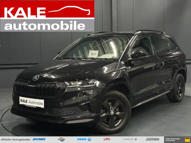 Skoda Karoq main image