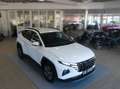 Hyundai TUCSON T-GDI 4WD Autom., NAV LED KAM SHZ LAN Weiß - thumbnail 4