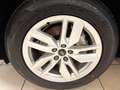 Audi Q5 Q5 40 2.0 tdi Proline quattro 190cv s-tronic my20 Blu/Azzurro - thumbnail 15