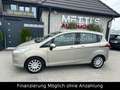 Ford B-Max B-MAX 1.0 Trend*Navi*AHK*Sehr Gepflegt Gris - thumbnail 6