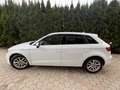 Audi A3 A3 SB Ambiente 1,6 TDI S-tronic Ambiente Weiß - thumbnail 3