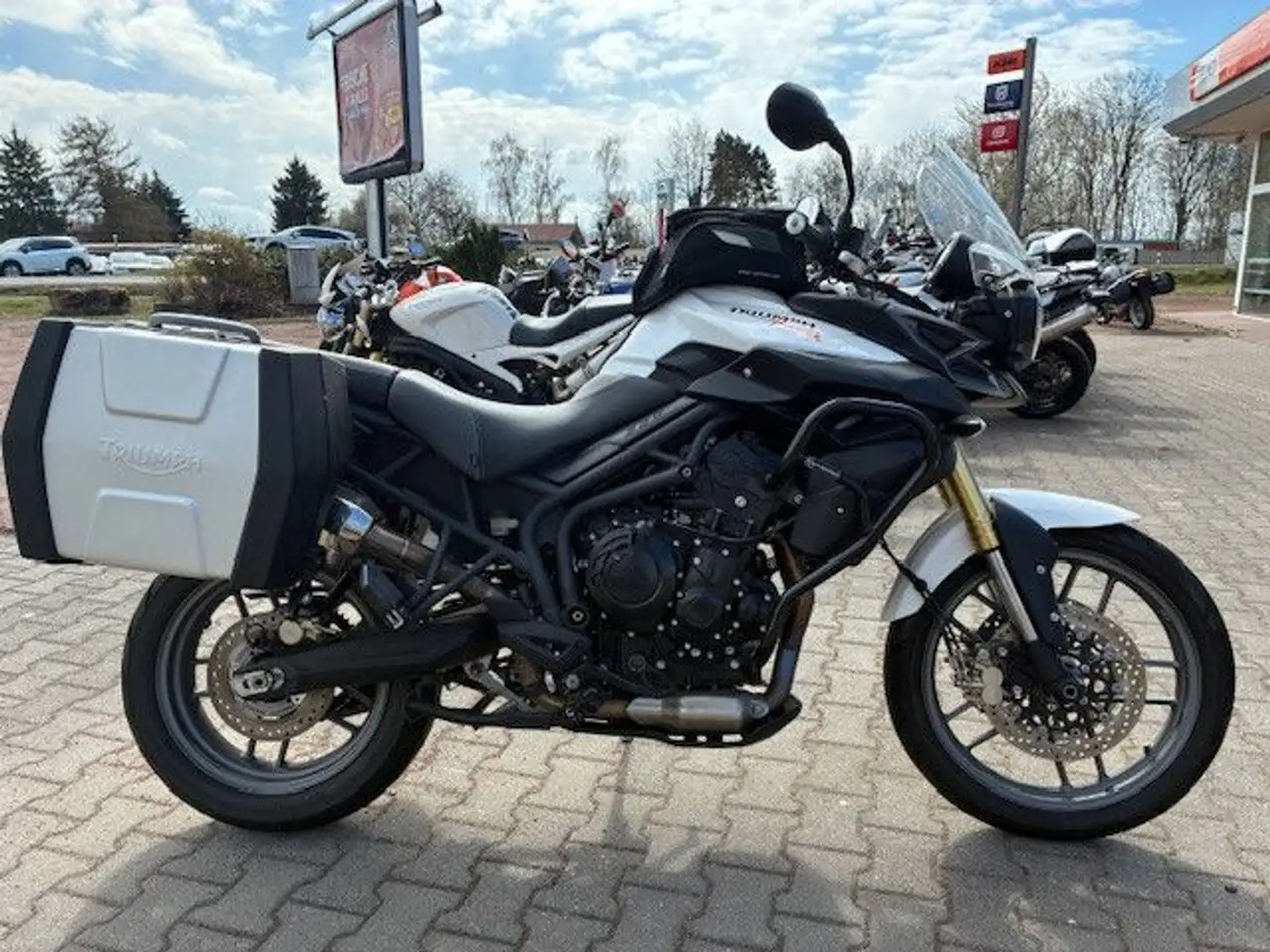 Triumph Tiger 800 Koffer LASER usw. Blanco - 1