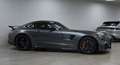 Mercedes-Benz AMG GT AMG GT R !! Carbon Pack !! Gris - thumbnail 10