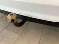 Ford C-Max C-MAX 1.6 Trend *Tempomat *Navi * Weiß - thumbnail 7