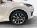 Ford Kuga 2,5Duratec Vignale PHEV 225PS Automatik *AHK *LED *adap.Temp Wit - thumbnail 23