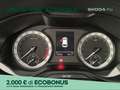 Skoda Karoq 2.0 tdi evo executive 115cv Argento - thumbnail 13