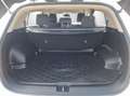 Kia Sportage Silber 1.6 GDI Weiß - thumbnail 21