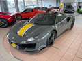 Ferrari 488 Spider  ATELIER/STRIPE/LIFT Grau - thumbnail 5