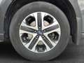 Subaru OUTBACK Kombi 2,5i Premium AWD CVT Grau - thumbnail 19