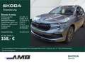 Skoda Kamiq Tour 1.0 TSI Matrix-LED/Black/Sitzhzg/RFK Grau - thumbnail 1