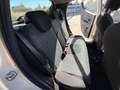 Lancia Ypsilon Ypsilon 1.2 Elefantino s *5 POSTI + FENDINEBBIA* Blanc - thumbnail 11