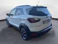 Ford EcoSport 1.0 EcoBoost 125 CV Start&Stop Active Bianco - thumbnail 6
