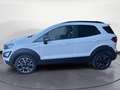 Ford EcoSport 1.0 EcoBoost 125 CV Start&Stop Active Bianco - thumbnail 7